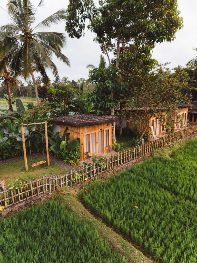 Sawah Ijen